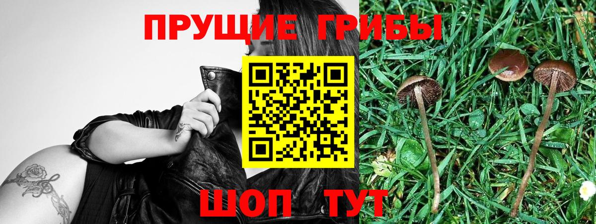Псилоцибиновые грибы мицелий  Вход с VPN  Арзамас 