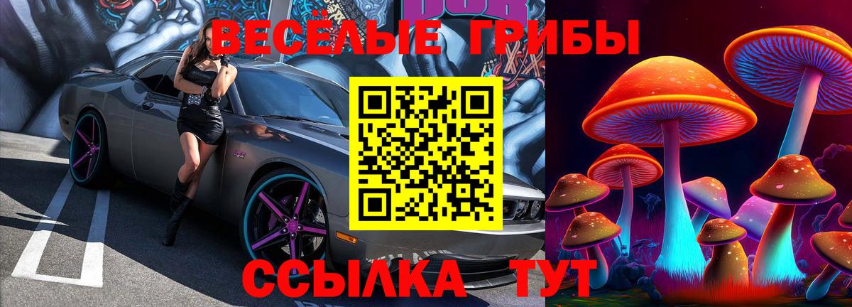 Псилоцибиновые грибы Magic Shrooms Арзамас